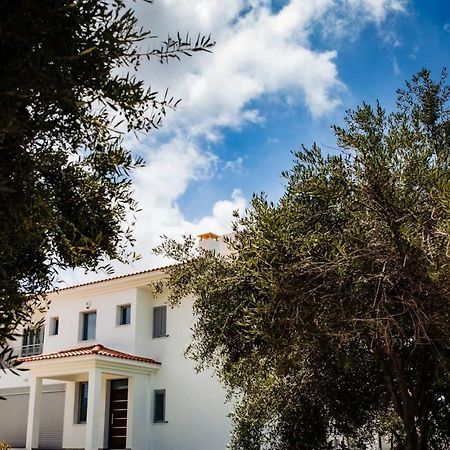 Villa Despoina Paphos Exteriör bild