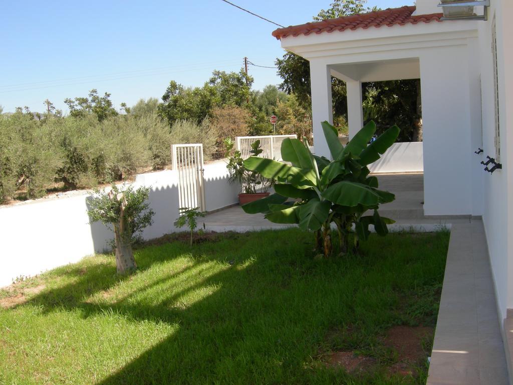 Villa Despoina Paphos Exteriör bild