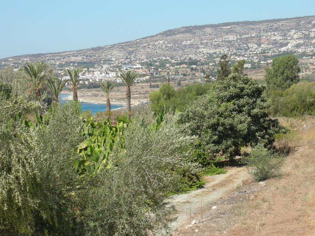 Villa Despoina Paphos Exteriör bild