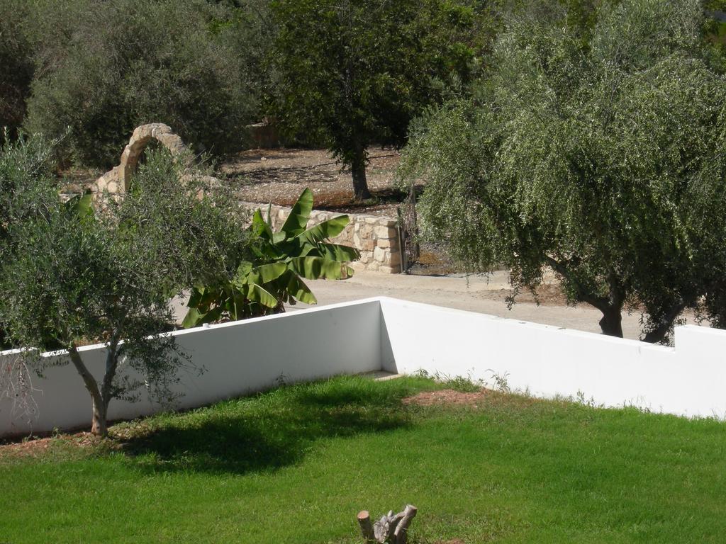 Villa Despoina Paphos Exteriör bild