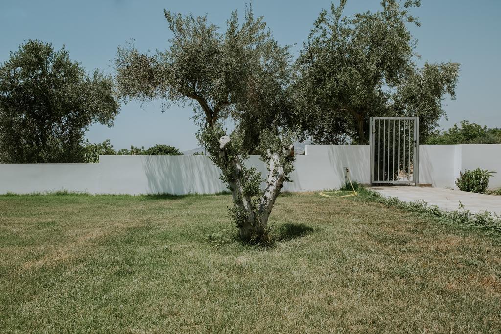 Villa Despoina Paphos Exteriör bild